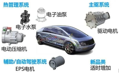從賈躍亭到董明珠 巨頭入局汽車租賃的挑戰(zhàn)與機(jī)遇